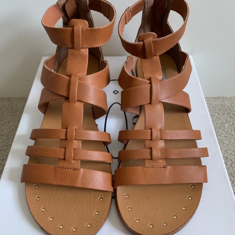 Steve Madden Gladiator Sandals